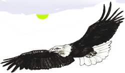 Cum să atragă păsări pas cu pas, desene in creion de păsări