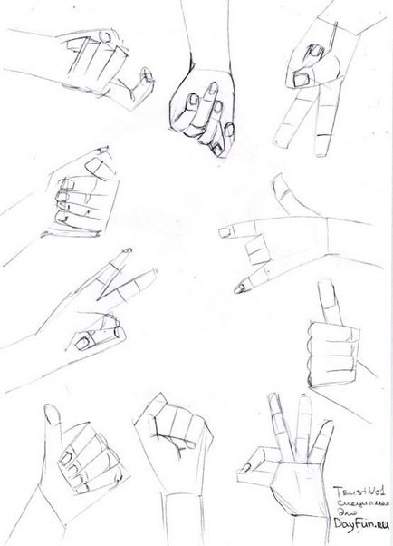 Cum de a desena o mână cu un creion în etape