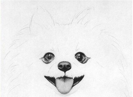 Cum să atragă un câine în etape, desen creion, pentru copii