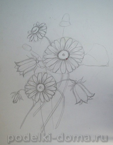 Cum de a desena un creion de flori (în etape), o cutie de idei și ateliere