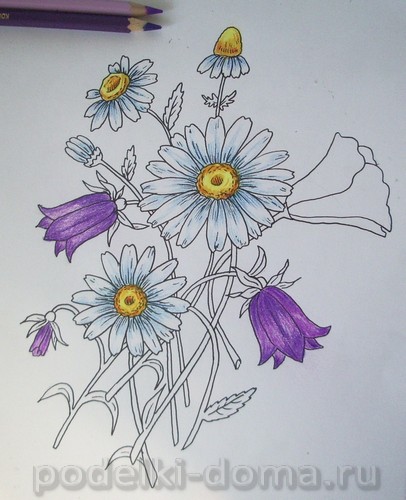 Cum de a desena un creion de flori (în etape), o cutie de idei și ateliere