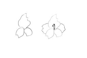 Cum de a desena o floare în etape