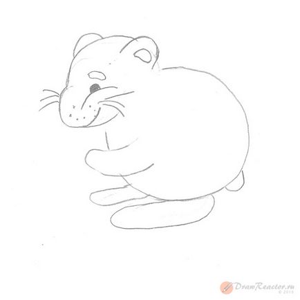 Cum de a desena un hamster - lectii de desen