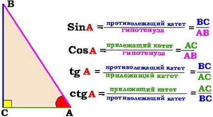 Cum de a găsi sinusul unghiului în triunghiul