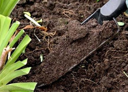 Cum de a cultiva solul