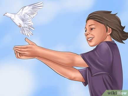 Cum de a instrui porumbel