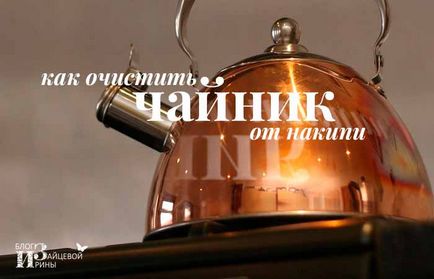 Cum se curata un fierbător de apă de la scara la domiciliu rapid și eficient, pe blog-ul Iriny Zaytsevoy