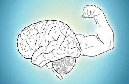 Cum de a îmbunătăți eficiența creierului