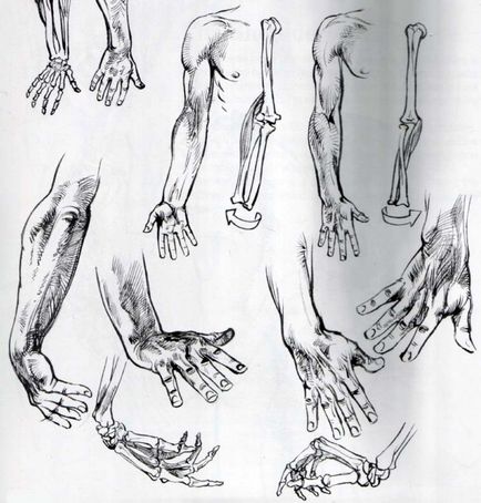 Cum să elaboreze o structură de mână a brațelor și a mâinilor