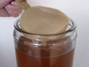 Cum de a face Kombucha, drumul spre casă