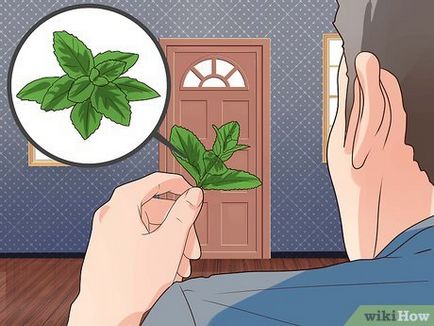 Cum sa faci o țigară din ierburi