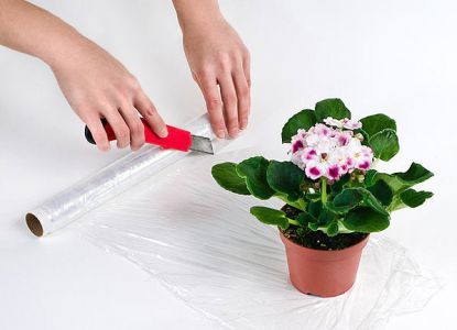Cum se face de ambalare pentru flori cu propriile sale mâini