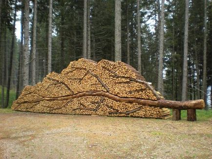 Cum să se plieze lemn de foc drovnitsu bate și se taie atât de pitoresc pus