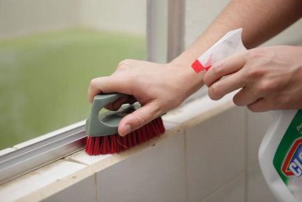 Cum de a elimina mucegai pe pereți în apartament pentru totdeauna