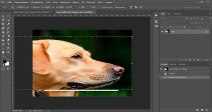 Cum de a reduce obiectul în Photoshop rapid si profesional