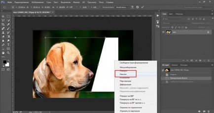 Cum de a reduce obiectul în Photoshop rapid si profesional