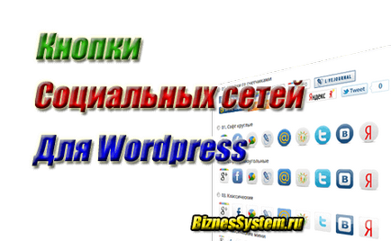 Cum se instalează butoane sociale pe un blog WordPress (butoane sociale, WordPress) Cum se instalează butoane sociale pe un blog WordPress