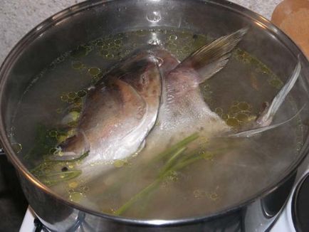 Cum de a găti pește în mod corespunzător sfaturi de gătit