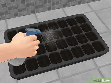 Cum să crească o margaretă