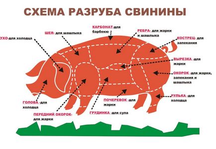 Cum de a ucide o tehnologie dreptul de porc, echipamente, sfaturi