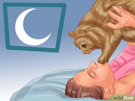 Cum sa faci o pisica de dormit lângă tine