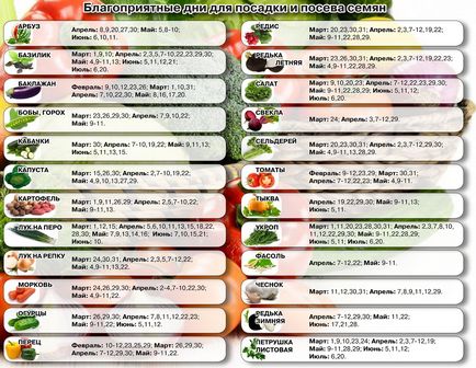 Calendarul de plantare tomate debarcare 2017 în teren deschis, semănat lunar pentru varza si seminte
