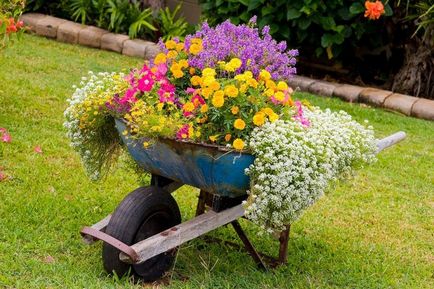 Paturi cu mâinile lor în ideea de țară fotografie modul de a face un frumos pat de flori, grădină de flori