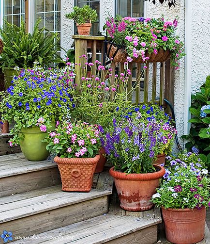 Paturi in apropiere de casa - 18 frumoase straturi de flori in apropiere de casa, o casă frumoasă și grădină
