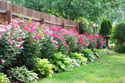 Paturi in apropiere de casa - 18 frumoase straturi de flori in apropiere de casa, o casă frumoasă și grădină