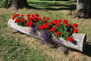 paturi de flori frumoase din țară, cu propriile lor mâini, 100 de idei și fotografii!