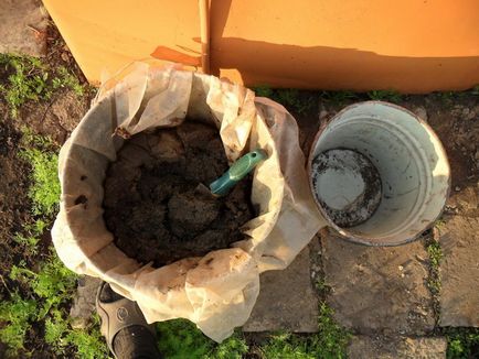 gunoi de grajd de pui ca proprietăți de îngrășăminte și reguli de utilizare