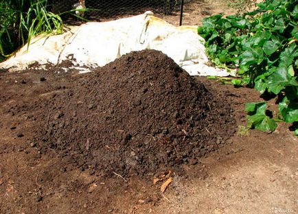 gunoi de grajd de pui ca proprietăți de îngrășăminte și reguli de utilizare