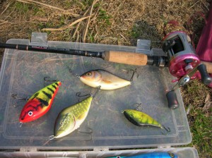 Pike de pescuit pe filare în primăvara, vara și toamna, găsi un loc pentru pescuit, selectarea uneltelor și momeală
