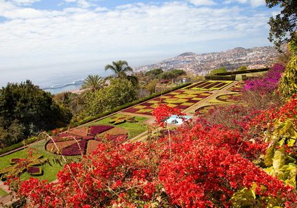 Madeira - toate informațiile despre atracțiile insulei și puncte de interes