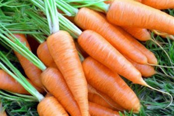 Masca de morcovi pentru față