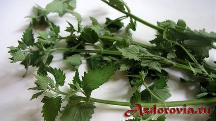 Melissa de colectare și preparare (balsam de lamaie) colectare și preparare Melissa