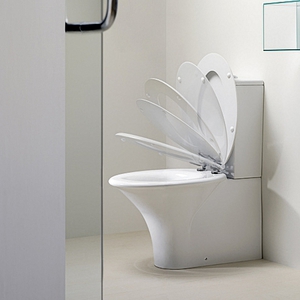 Lifter în dispozitivul de toaletă, argumentele pro și contra, instalarea acestui echipament