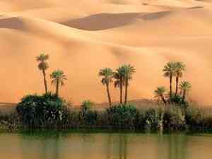 Un miraj în deșert, informații utile, lumea invizibilă