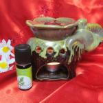 Tinctura de propolis - cum să gătească și cum să se aplice de la domiciliu, arome si culori pentru