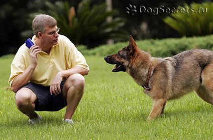 Rata totală de formare pentru câini (OKD)
