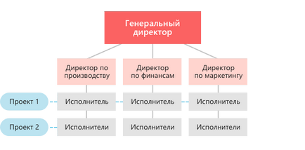 Structura organizatorică și tipurile - schema