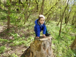 Camping cu un copil - toate pentru a organiza, Irina Kotulskaya