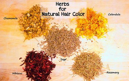 Paleta de vopsele pentru îngrijirea părului în alegerea tipurilor și compoziția vopselei