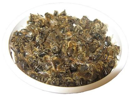 Bee tratament Podmore și metodele de utilizare