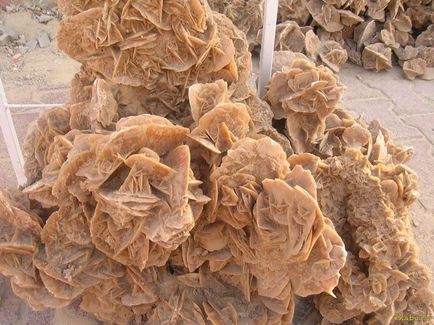 Sandy Desert Rose - cele mai neobișnuite formațiuni naturale - marea faptelor