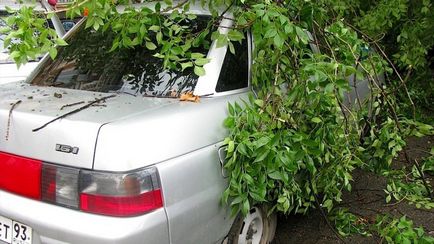 copac Procedura în cazul în care mașina a căzut