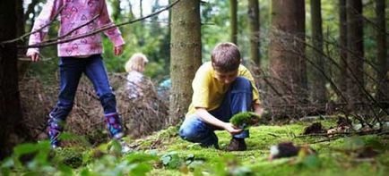 Reguli de conduită în pădure pentru copii și studenți