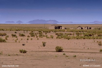 Desert mirage (superior) deșert miraj