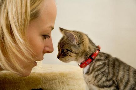 Cinci semne că pisica ta te iubește cu adevărat