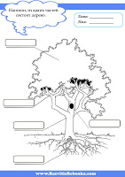 Copil copac Structura de dezvoltare